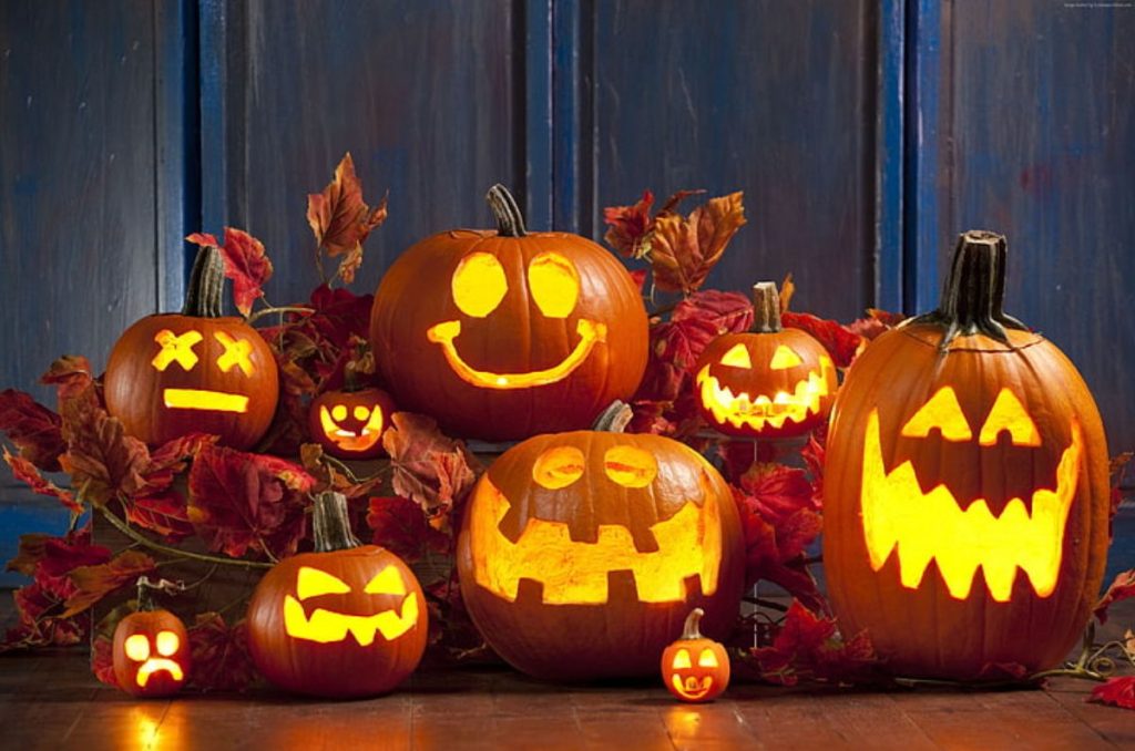 Guanajuato está listo para recibir el otoño con el Festival de Calabazas 2025 0