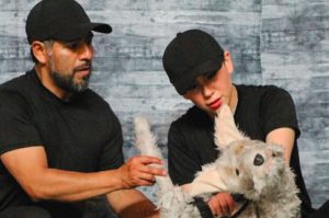 “Firu”: Llega esta obra de teatro dedicada a los perritos sin hogar 