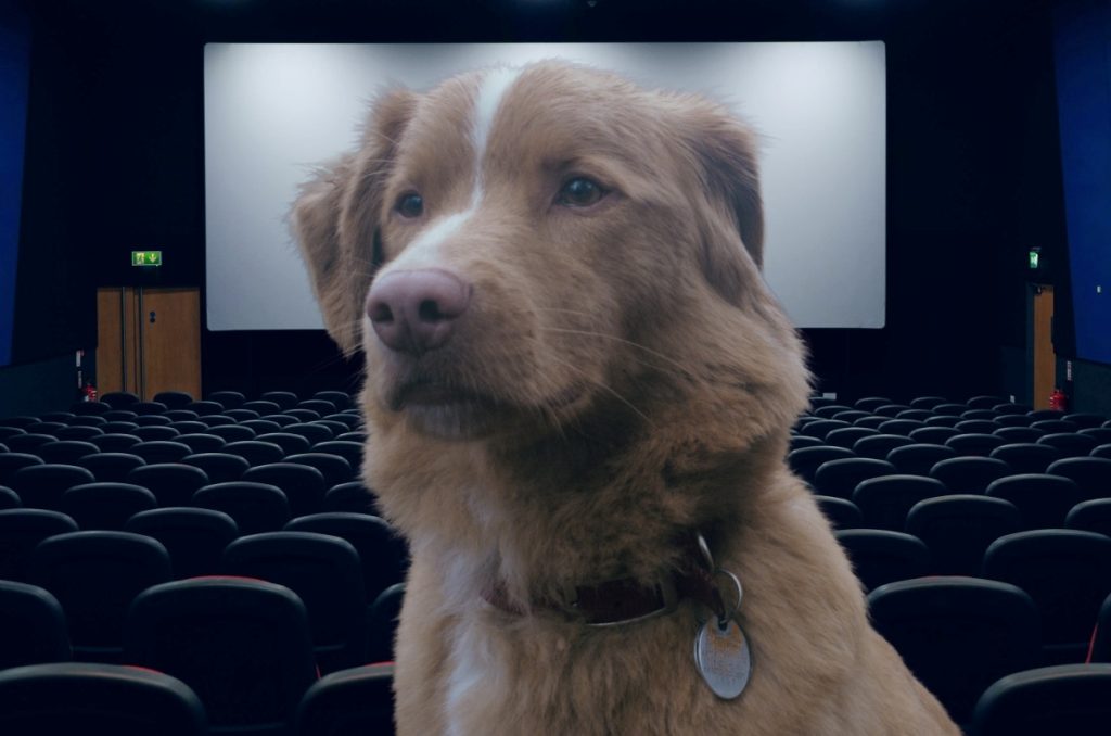 Good Boy 2025 películas de terror con perro estreno en cines de México