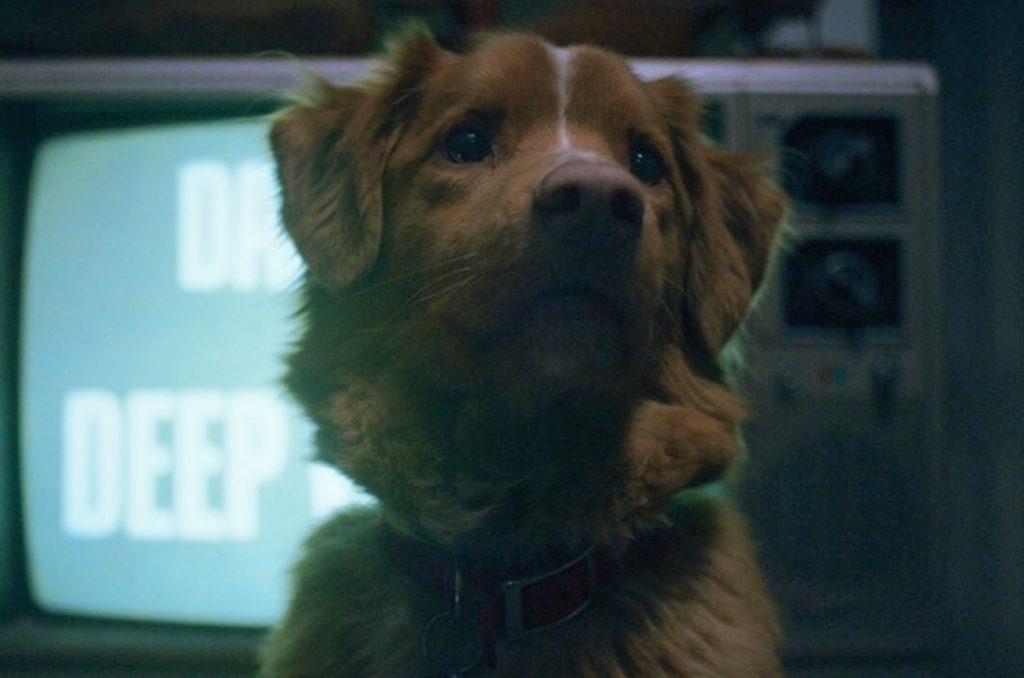 Good Boy 2025 películas de terror con perro estreno en cines de México