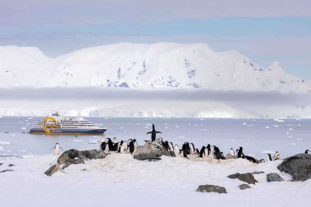 Descubre South Georgia Island, un destino único en el Océano Austral. Conoce la mejor época para visitarla y su vida silvestre
