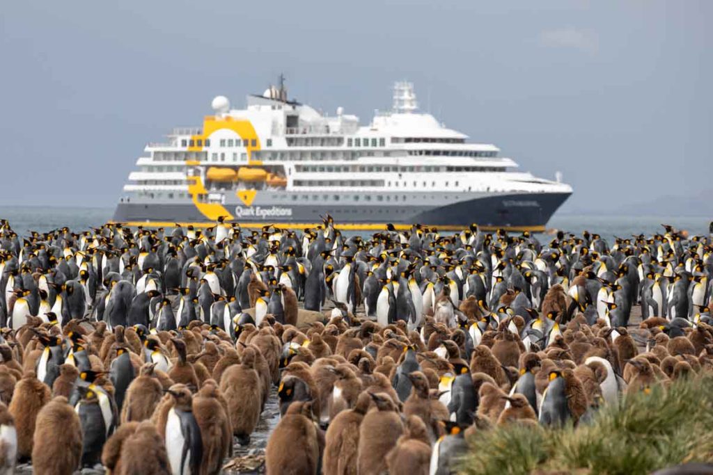 Descubre South Georgia Island, un destino único en el Océano Austral. Conoce la mejor época para visitarla y su vida silvestre