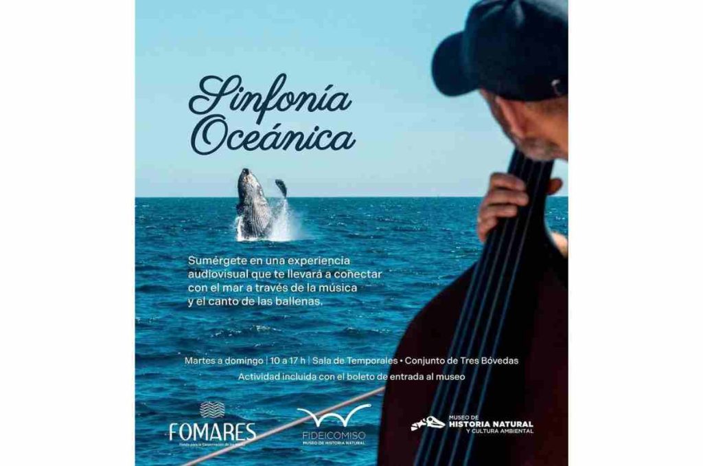 El mar y sus sonidos llegan a CDMX con La Sinfonía Oceánica en el Museo de Historia Nacional