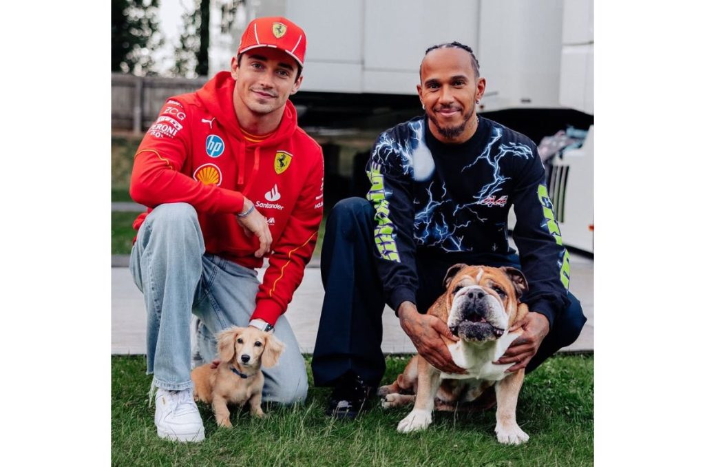 Muere Roscoe, el famoso bulldog de Lewis Hamilton y estrella del paddock 4