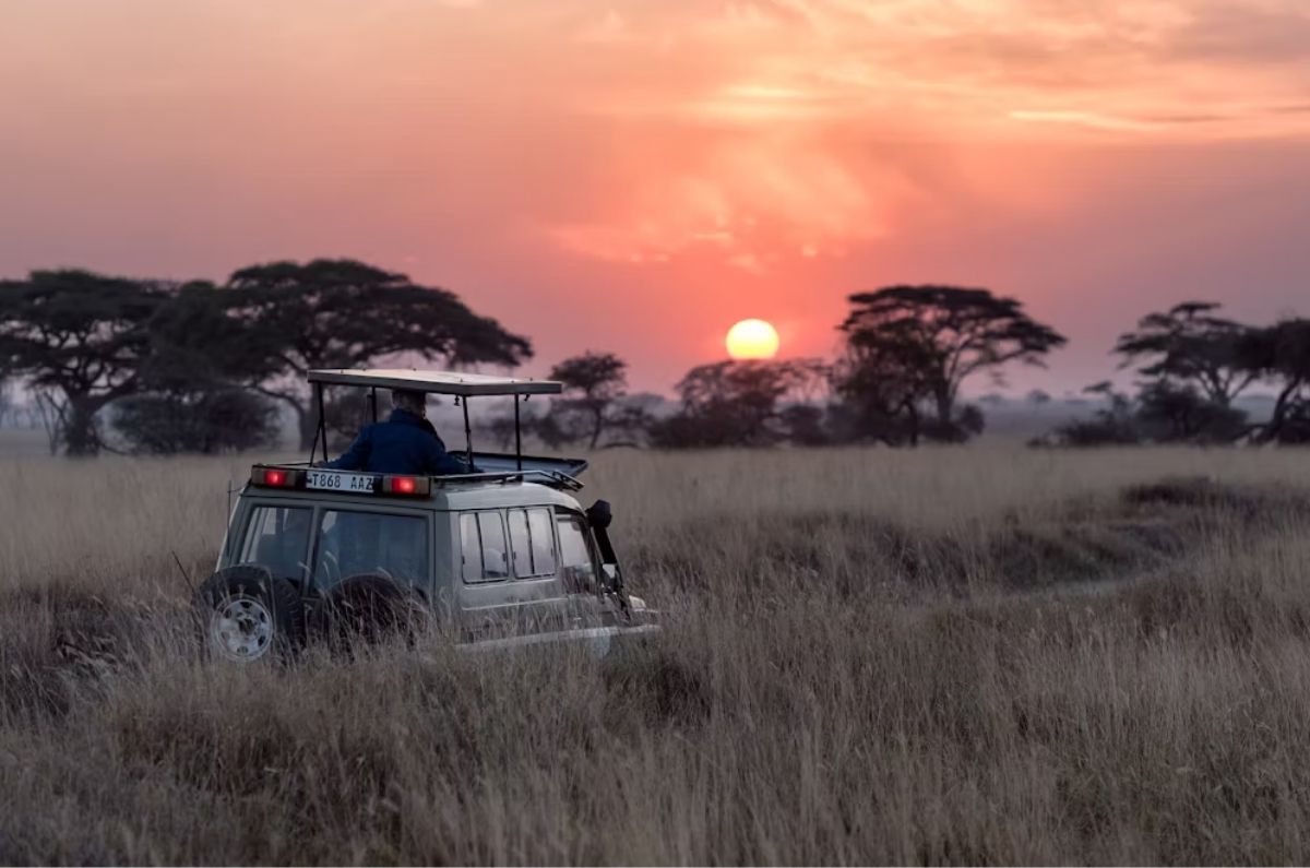 Los mejores safaris en Asia: los animales más buscados