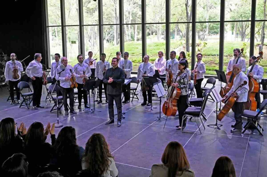 Orquesta de la Cámara de Bellas Artes
