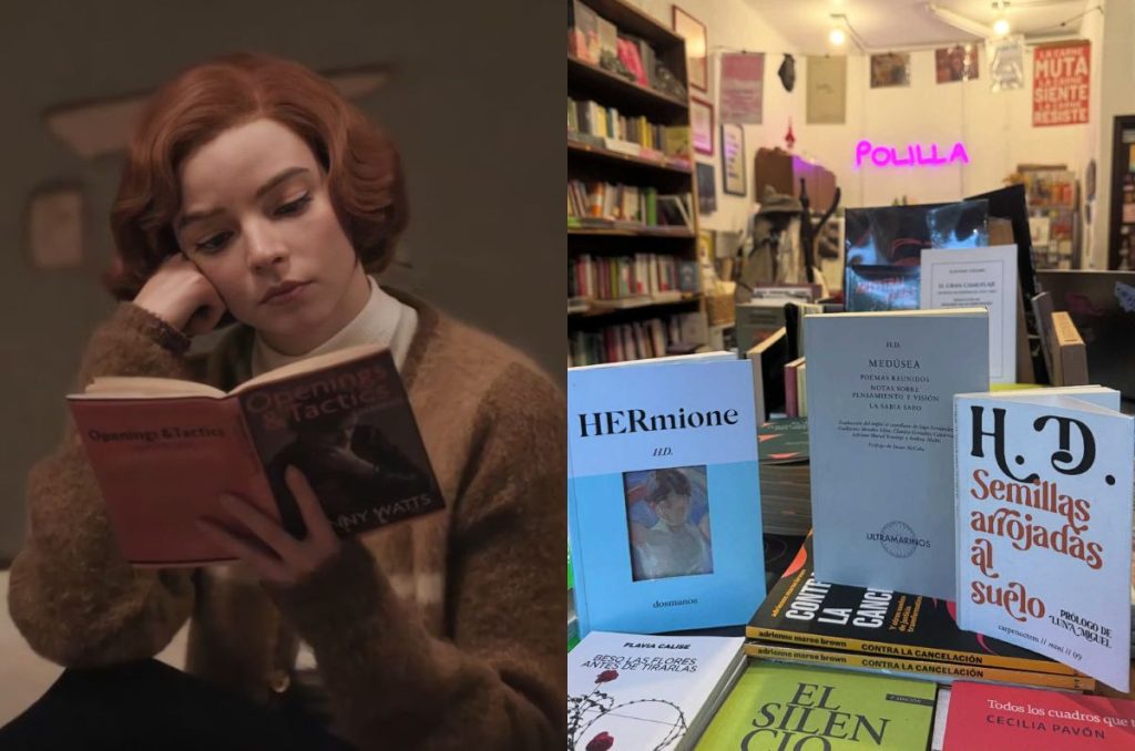 Polilla Librería: Descubre esta librería oculta en la CDMX