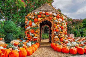 Qué hacer en Dallas en otoño: Día de muertos y deportes