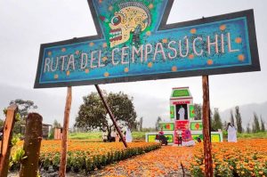 La Ruta del Cempasúchil 2025: vive una experiencia única de Día de Muertos