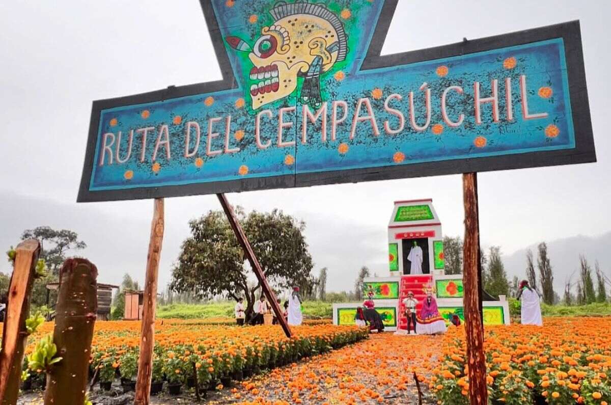 La Ruta del Cempasúchil 2025: vive una experiencia única de Día de Muertos