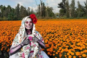 Vive la Ruta del Cempasúchil 2025 en Xochimilco: una experiencia de Día de Muertos