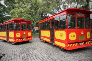 Presentan a Frida y Diego: los primeros tranvías turísticos eléctricos en la CDMX