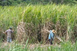 ¡Adiós bloqueos! Agricultores logran acuerdo con el Gobierno Federal