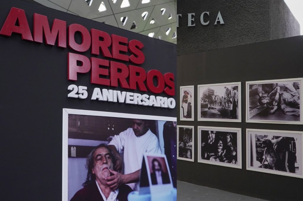 Amores Perros Cineteca Nacional reestreno cartelera película exposición gratis