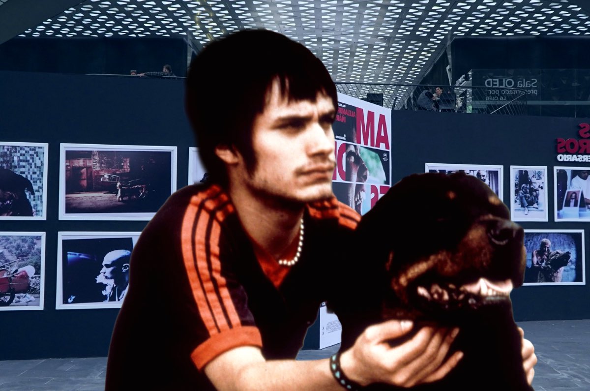 Cineteca Nacional presenta exposición de Amores Perros ¡Gratis!