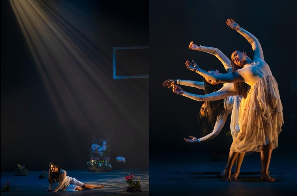 Barro Rojo celebra 43 años de danza en la UNAM
