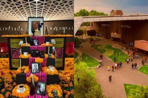 Día de Muertos en la Cineteca: ¡Ofrenda gratis y películas para ver!