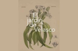 El arte florece en el Museo Kaluz con “El Jardín de Velasco” la exposición sobre la botánica de México