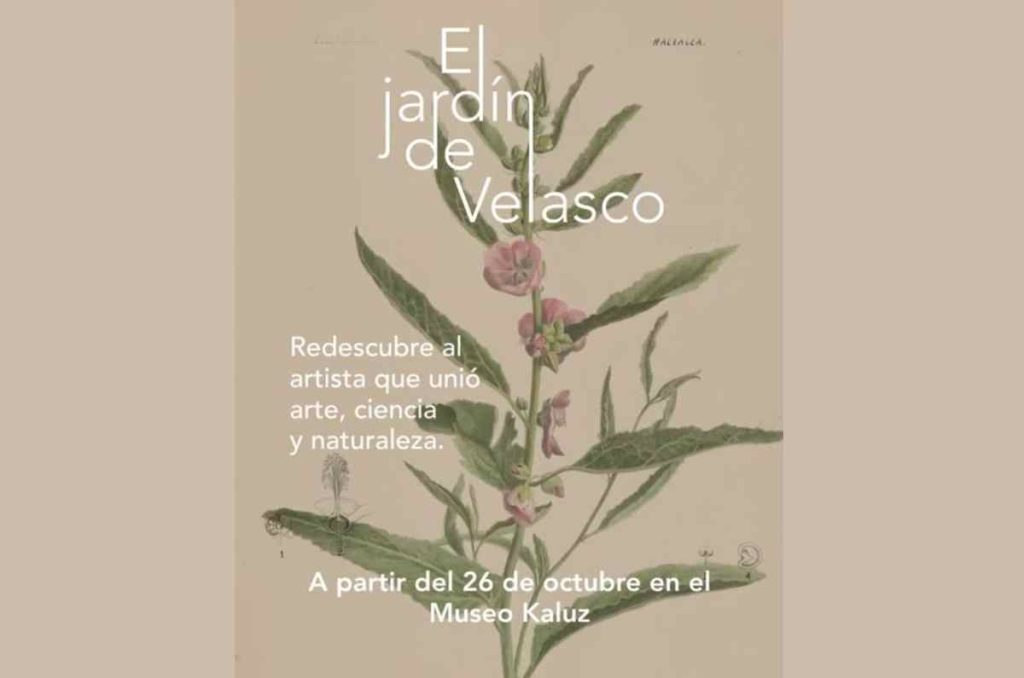 Nueva expo en Museo Kaluz: El Jardín de Velasco
