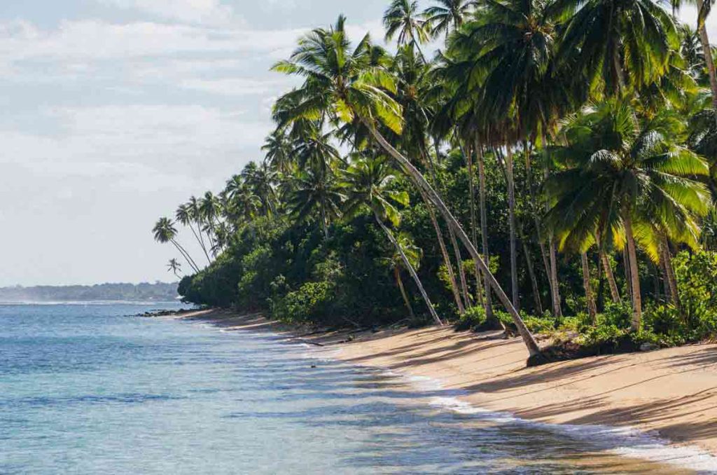 Unpack ’26, de Expedia y Hoteles.com, revela las tendencias de viaje de 2026. Los destinos que se consolidan y las nuevas formas de vivir las vacaciones.