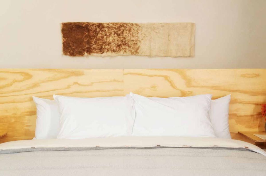 FIBRA: del maguey al mañana, el diseño que nace de la tierra 