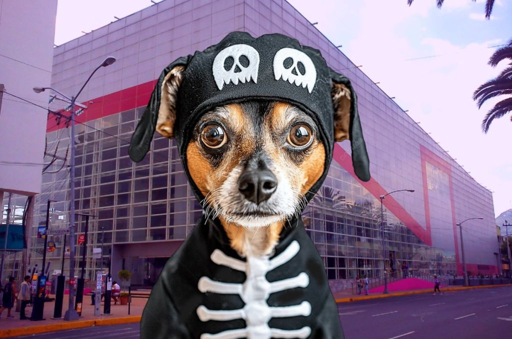 Halloween de perros adopciones y concurso de disfraces Centro Cultural Futurama CDMX