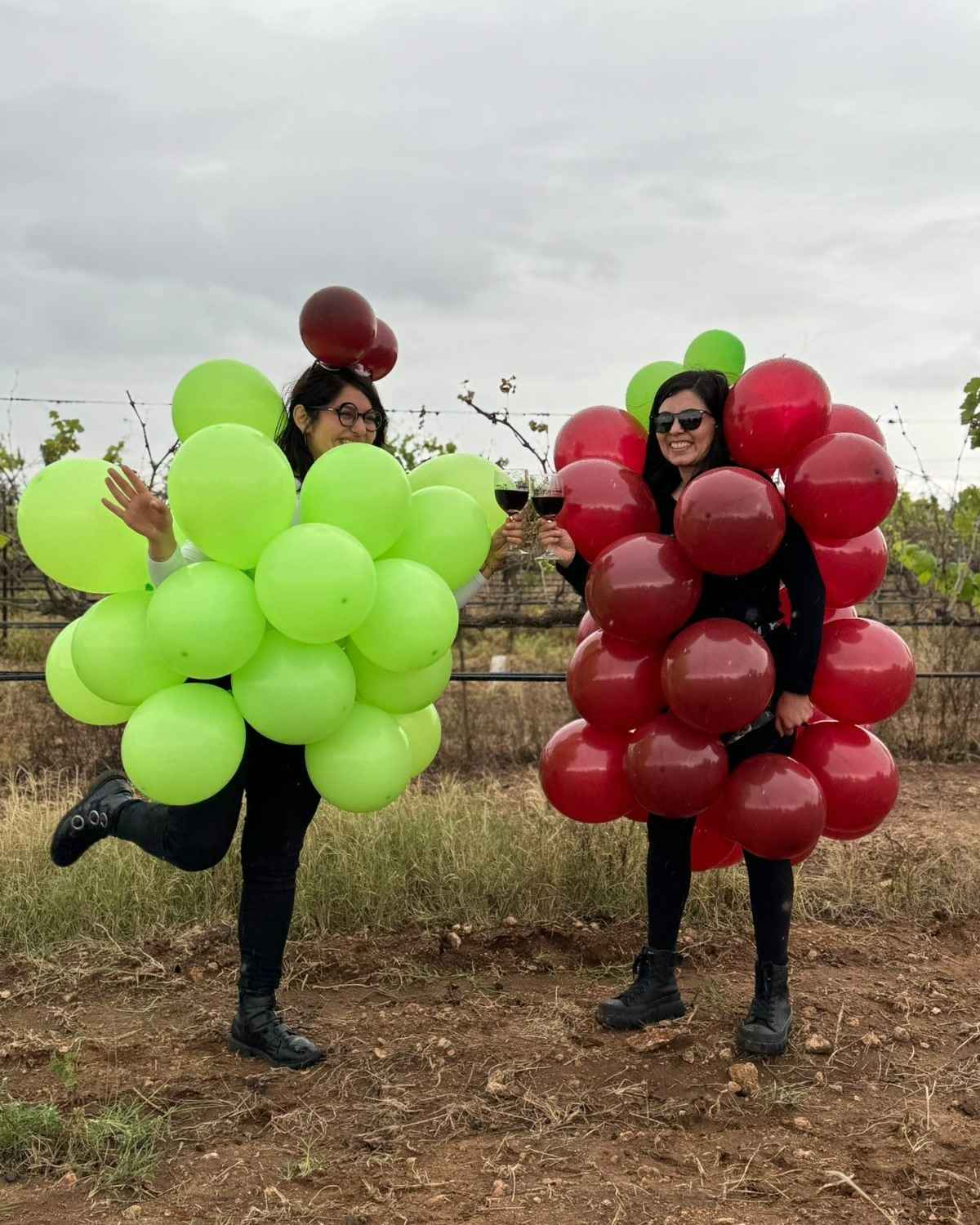 Fotos: Vendimia La Redonda y Viñedo a Redonda 