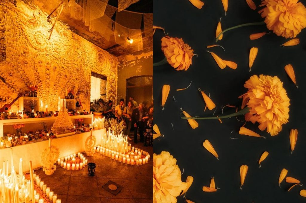 La ofrenda botánica de Día de Muertos vuelve a la CDMX este 2025
