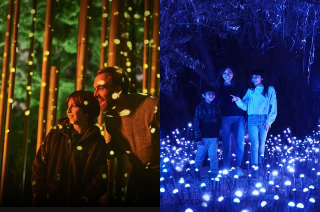 Light Cycles: Descubre la nueva experiencia inmersiva en CDMX