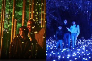 Light Cycles: Descubre la nueva experiencia inmersiva en CDMX