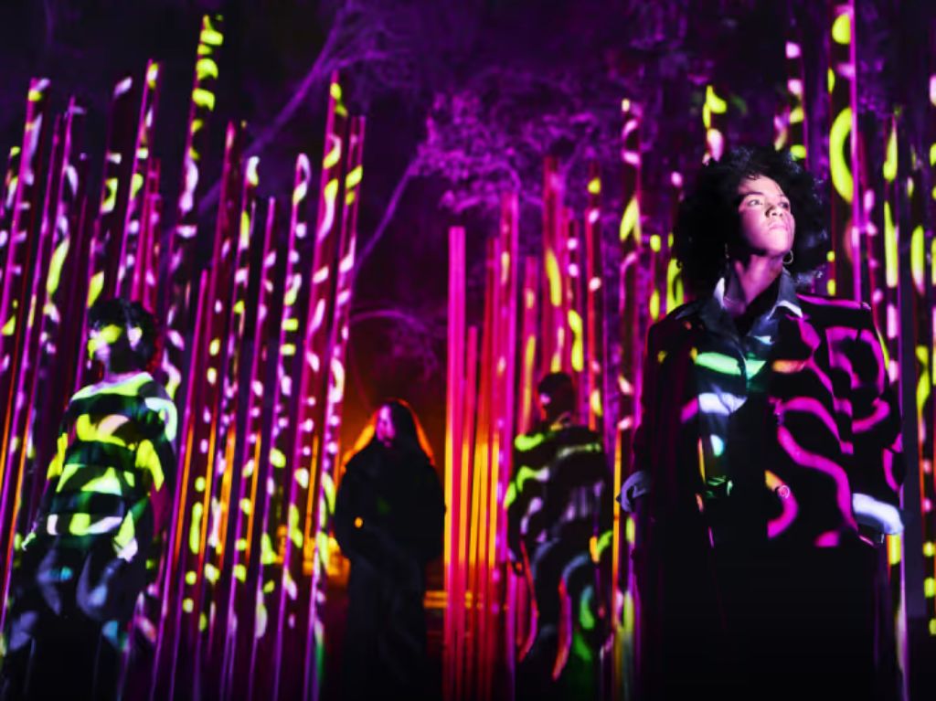 Light Cycles traerá la magia de las luces al Bosque de Chapultepec de la CDMX 

