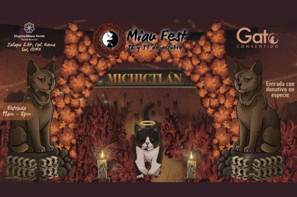 Michictlán: Festival Donde los Gatos Regresan del Más Allá en CDMX 2025