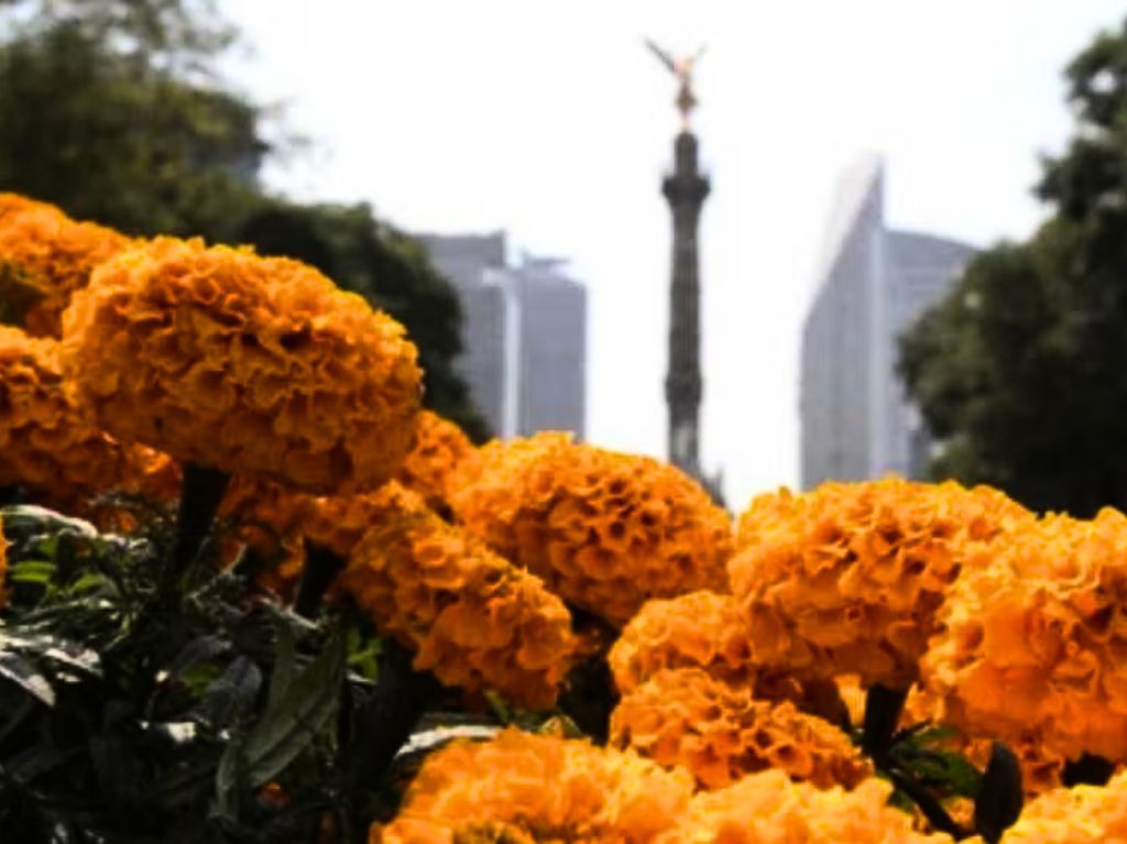 Otoño en la Ciudad de México