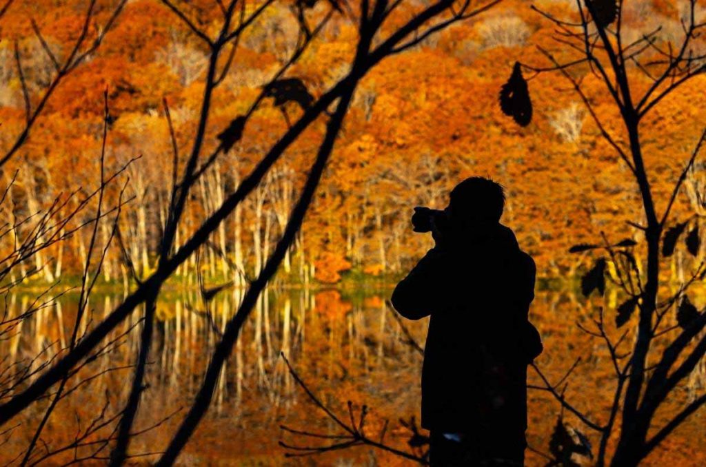 El otoño transforma Japón en un lienzo dorado y ámbar. Entre senderos de arces, templos históricos y baños termales al aire libre