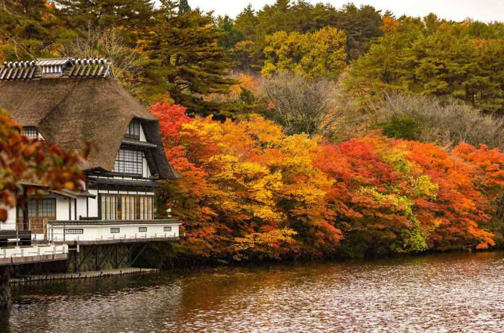 El otoño transforma Japón en un lienzo dorado y ámbar. Entre senderos de arces, templos históricos y baños termales al aire libre