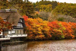 Otoño en Japón: naturaleza, aguas termales, té y cultura