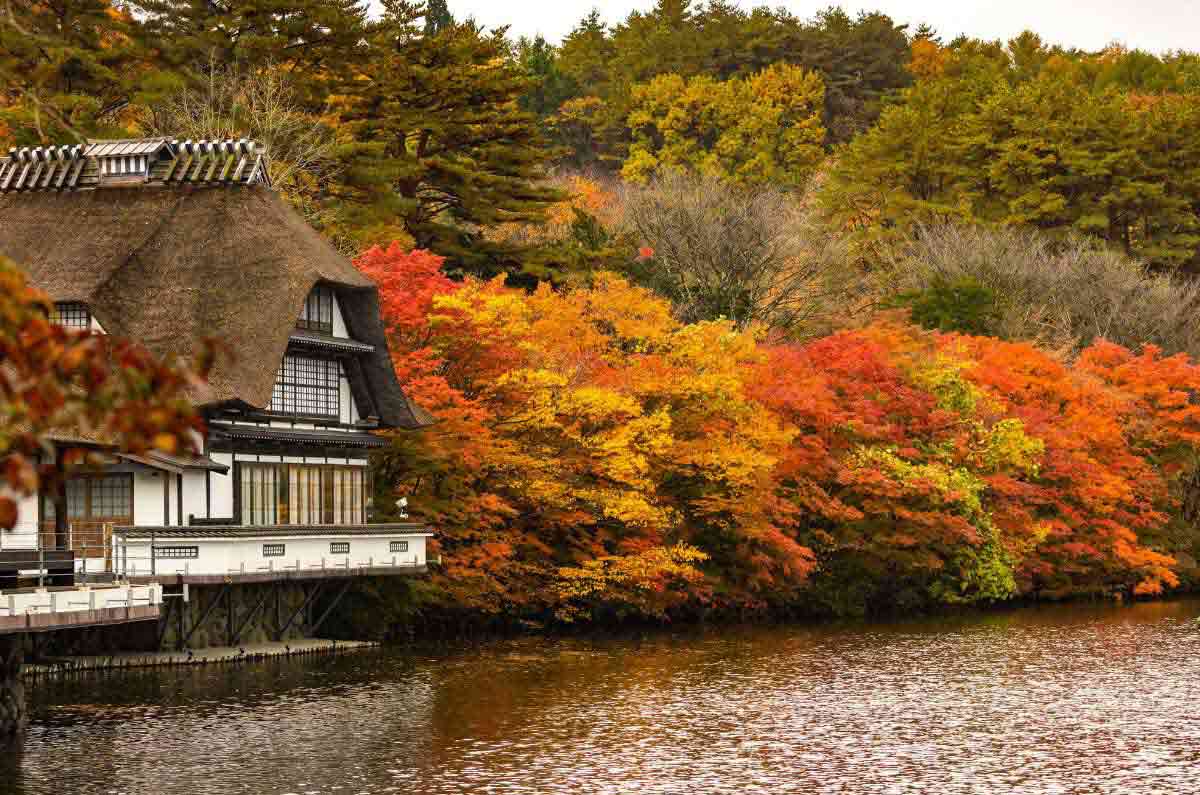 Otoño en Japón: naturaleza, aguas termales, té y cultura