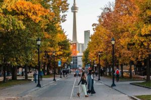 Toronto en otoño: la ciudad donde el color, la cultura y Halloween se encuentran 