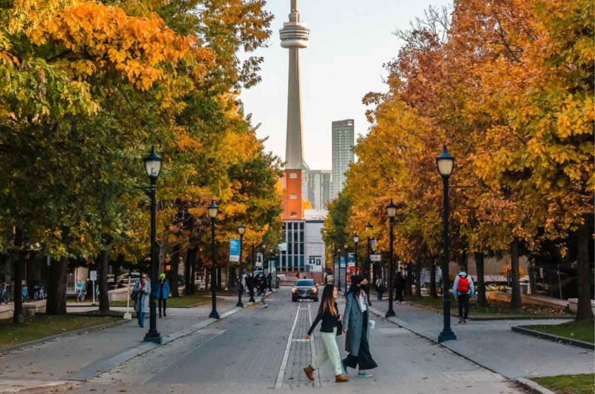 Toronto en otoño: la ciudad donde el color, la cultura y Halloween se encuentran