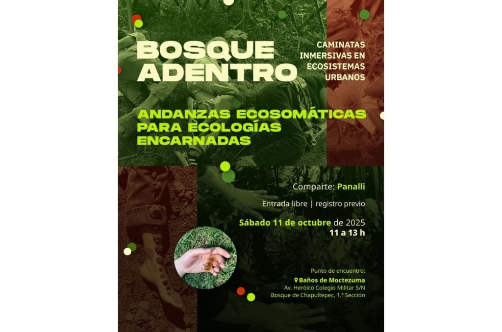 Dos actividades guiadas por Panallimiel: amistad invisible y bosque adentro