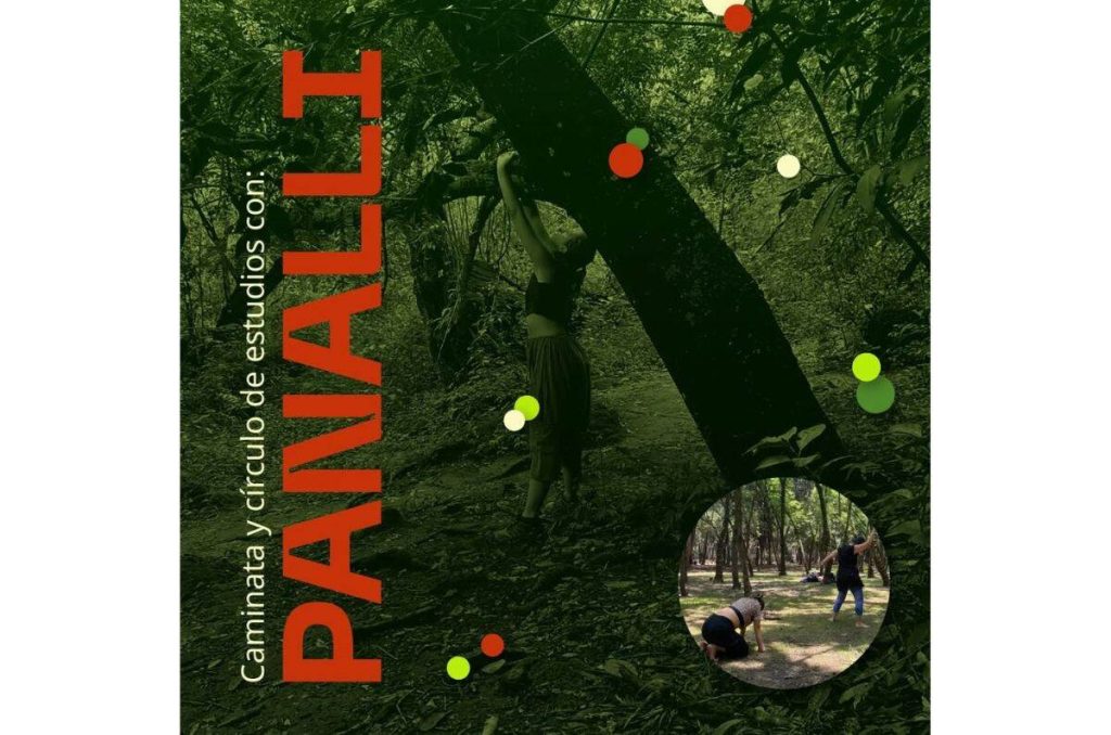 Dos actividades guiadas por Panallimiel: amistad invisible y bosque adentro