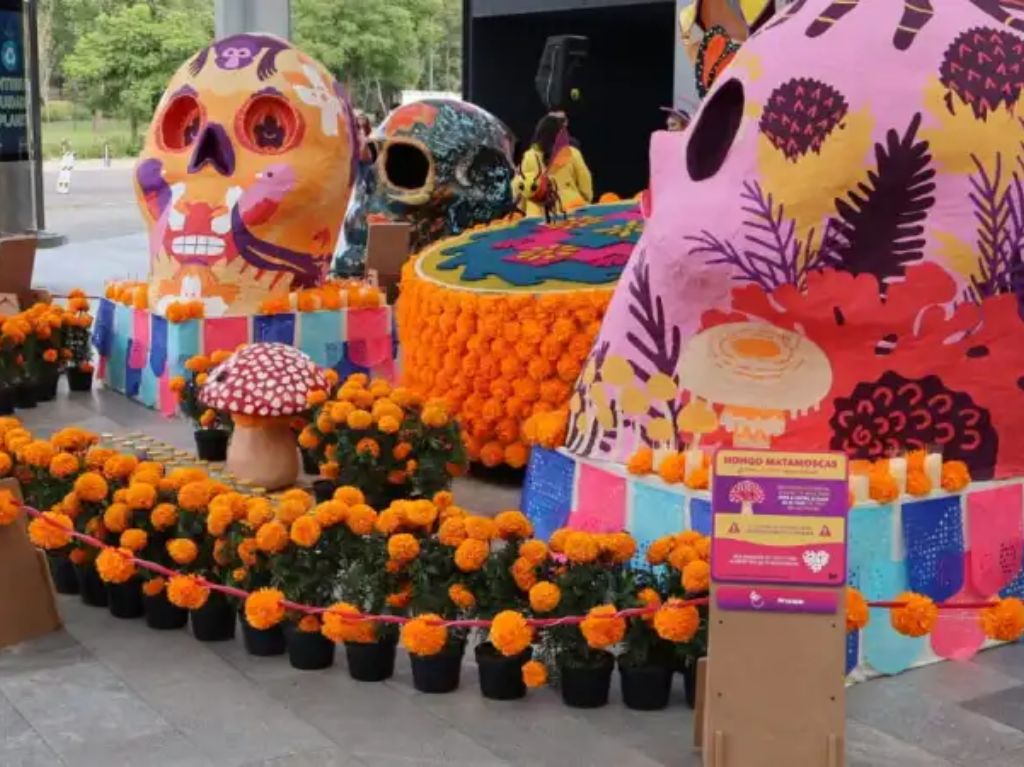¿Cuándo es el Día de Muertos Fest 2025 en el Papalote Museo del Niño? 
