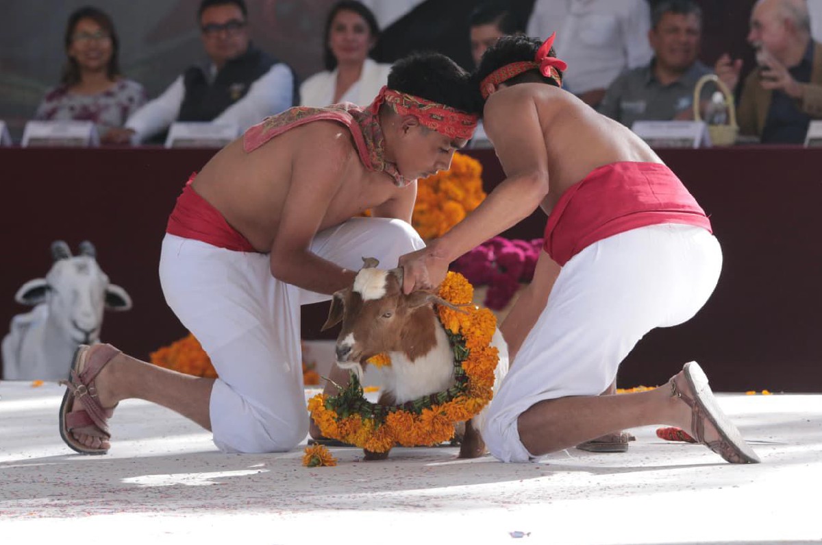 El Mole de Caderas 2025 llega a Tehuacán, Puebla, con una derrama económica de más de 100 millones de pesos y la participación de más de 70 cocineras tradicionales. Conoce los detalles de esta fiesta gastronómica llena de identidad, sabor y tradición.