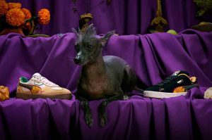 PUMA honra el Día de Muertos con una colección inspirada en flores y pan