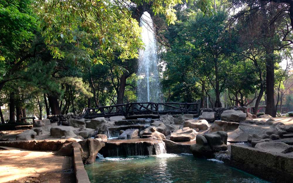 Tu plan perfecto de fin de semana en la CDMX empieza en un auto