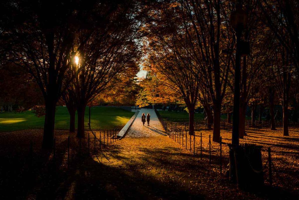 Washington DC se transforma con paisajes dorados y una vibrante agenda de festivales, desde cervezas a Día de Muertos.
