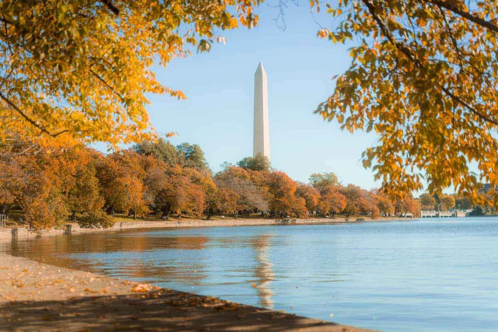 Washington DC se transforma con paisajes dorados y una vibrante agenda de festivales, desde cervezas a Día de Muertos.