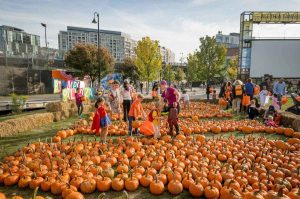 Washington D.C. en otoño: cultura, colores y el sabor de México en la Capital de EUA