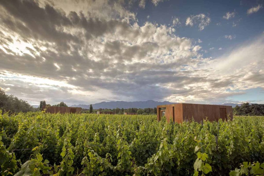 El hotel Entre Cielos de Mendoza fue galardonado con el Oro en Alojamiento en los Best Of Wine Tourism 2026