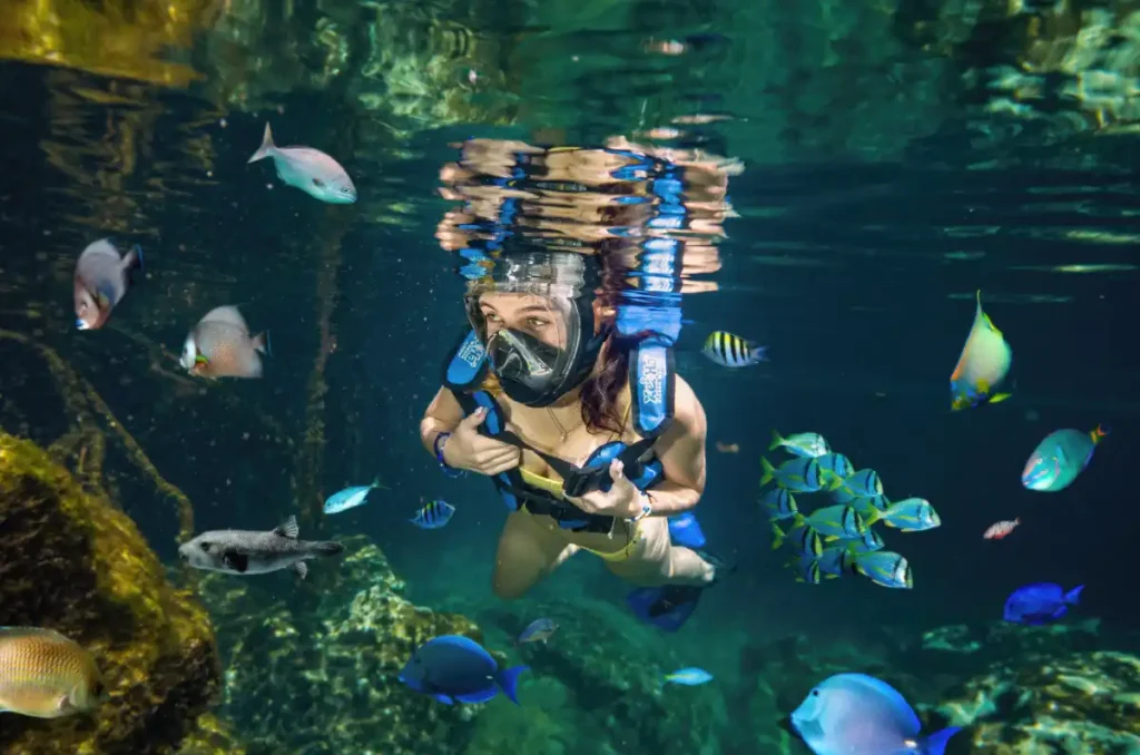 Vacaciona en la Riviera Maya: relájate en Xel-Há o vive la aventura en Xplor 6